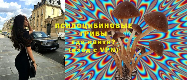 гашиш Бородино