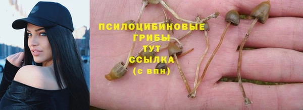 круглые Богданович