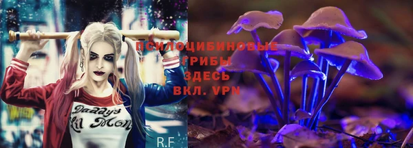 марихуана Богородицк
