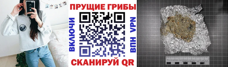 MEGA ссылка  как найти наркотики  Омск  Псилоцибиновые грибы GOLDEN TEACHER 